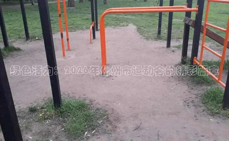 球速体育app
