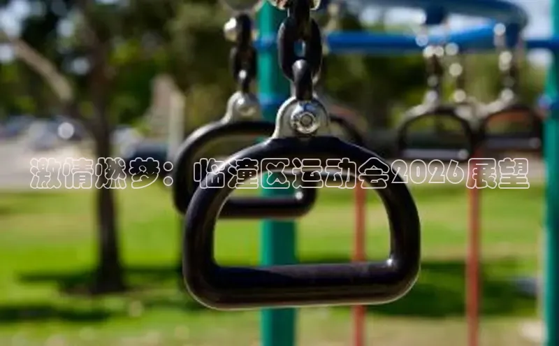 球速体育